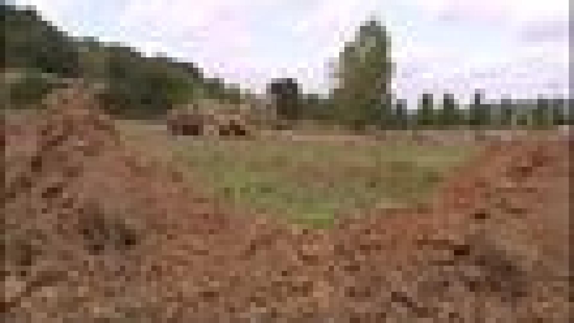 Huy : projet Bulena en chantier
